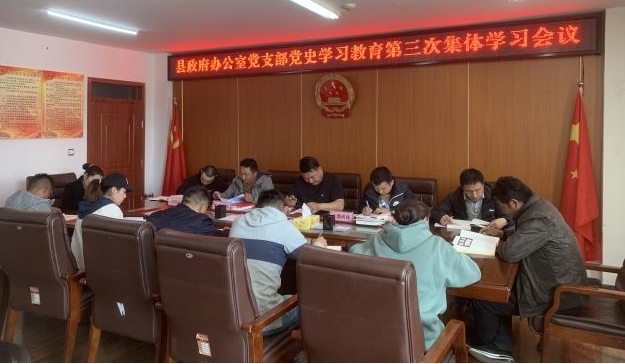 县政府办公室党支部召开党史学习教育第三次集体学习会议