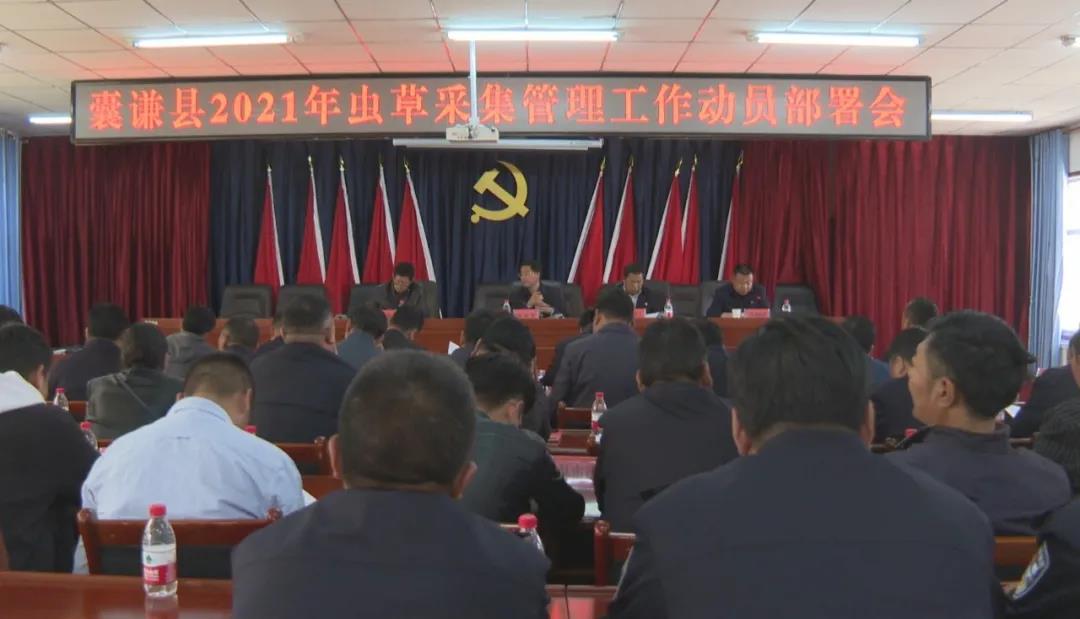 囊谦县召开2021年虫草采集管理工作动员部署会