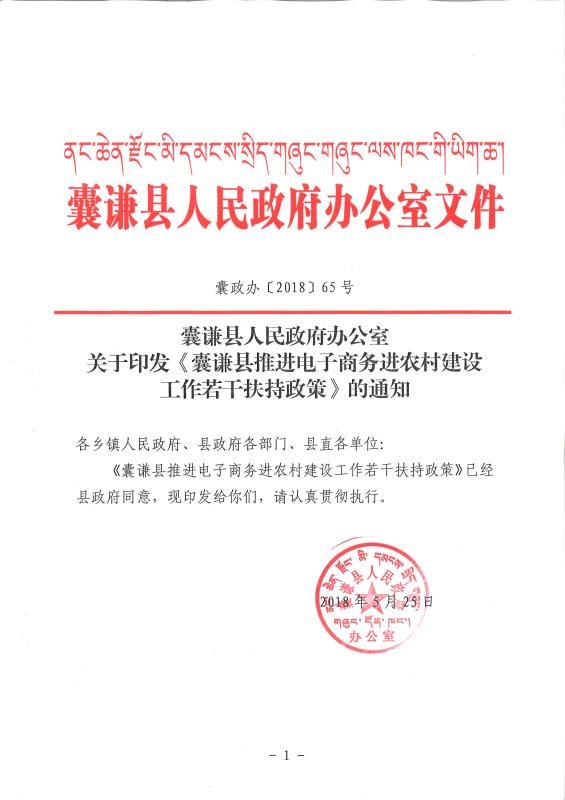 关于印发《囊谦县推进电子商务进农村建设工作若干扶持政策》的通知