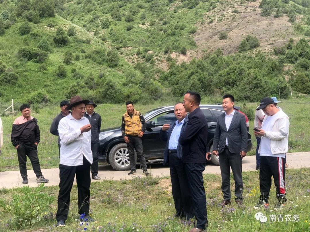 囊谦县乡村振兴战略（生态畜牧股份制改制）建设项目
