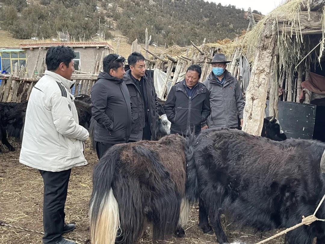 （东坝）副县长才仁昂布深入东坝乡调研指导乡村振兴、疫情防控、抗灾保畜工作