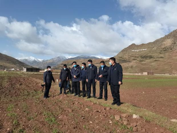 让党和政府的关怀照耀每一寸土地 让乡村振兴的东风吹遍每一座村庄