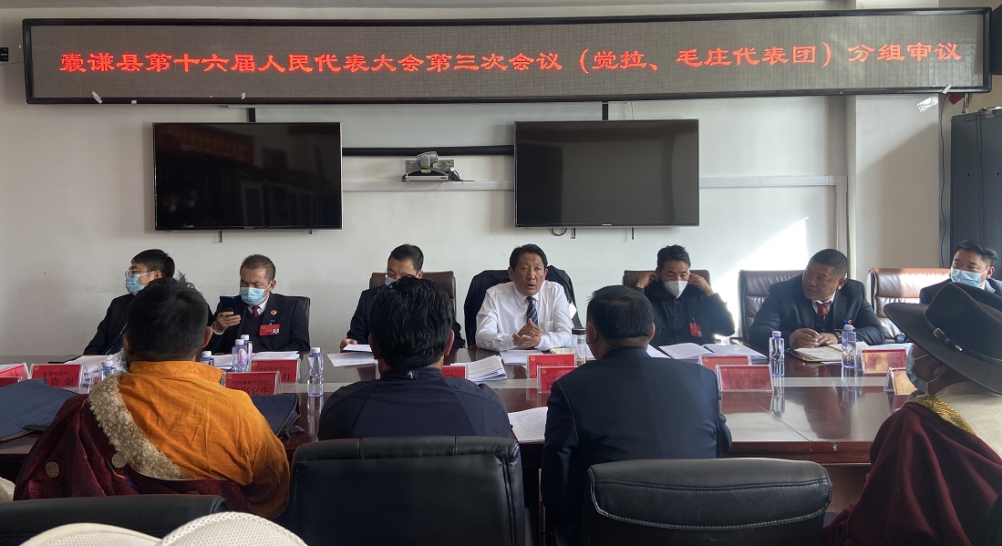 西然江措参加觉拉、毛庄乡代表团审议