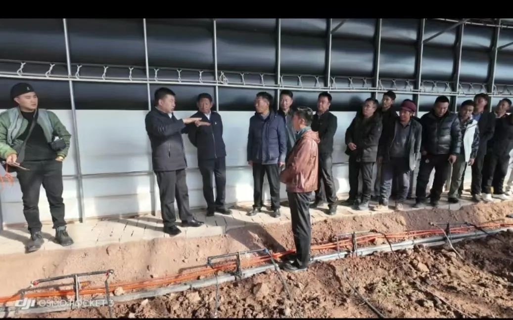 囊谦县特色农业绿色标准化生产基地正式开园