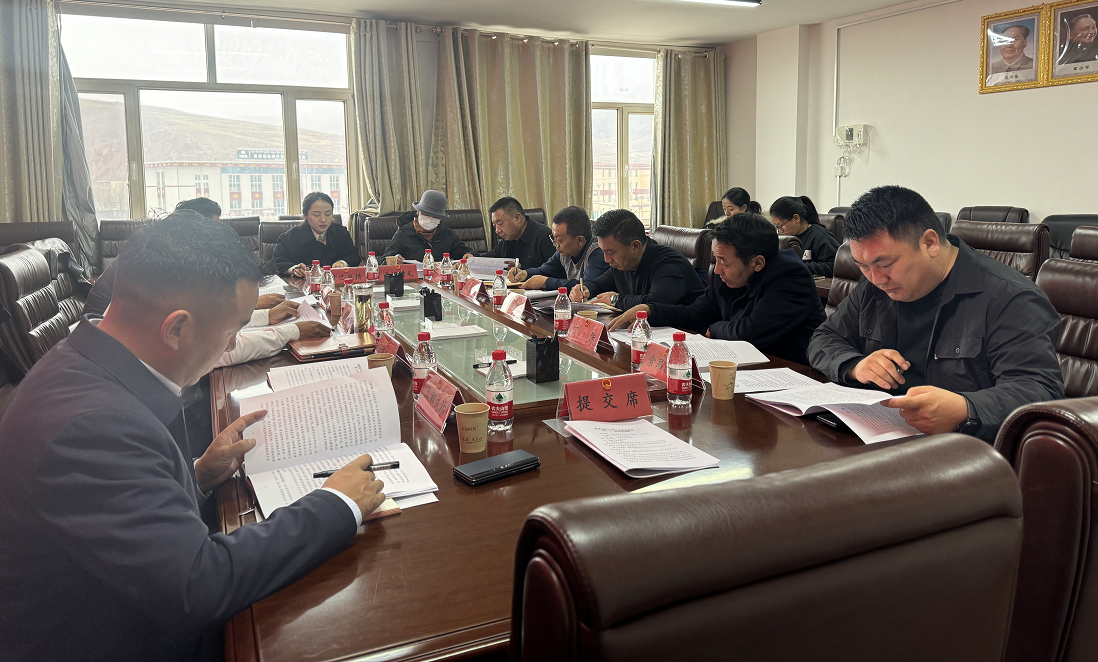 囊谦县人民政府党组会议和常务会议先后召开